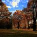 Park Miejski (pl) in Siemianowice Śląskie city
