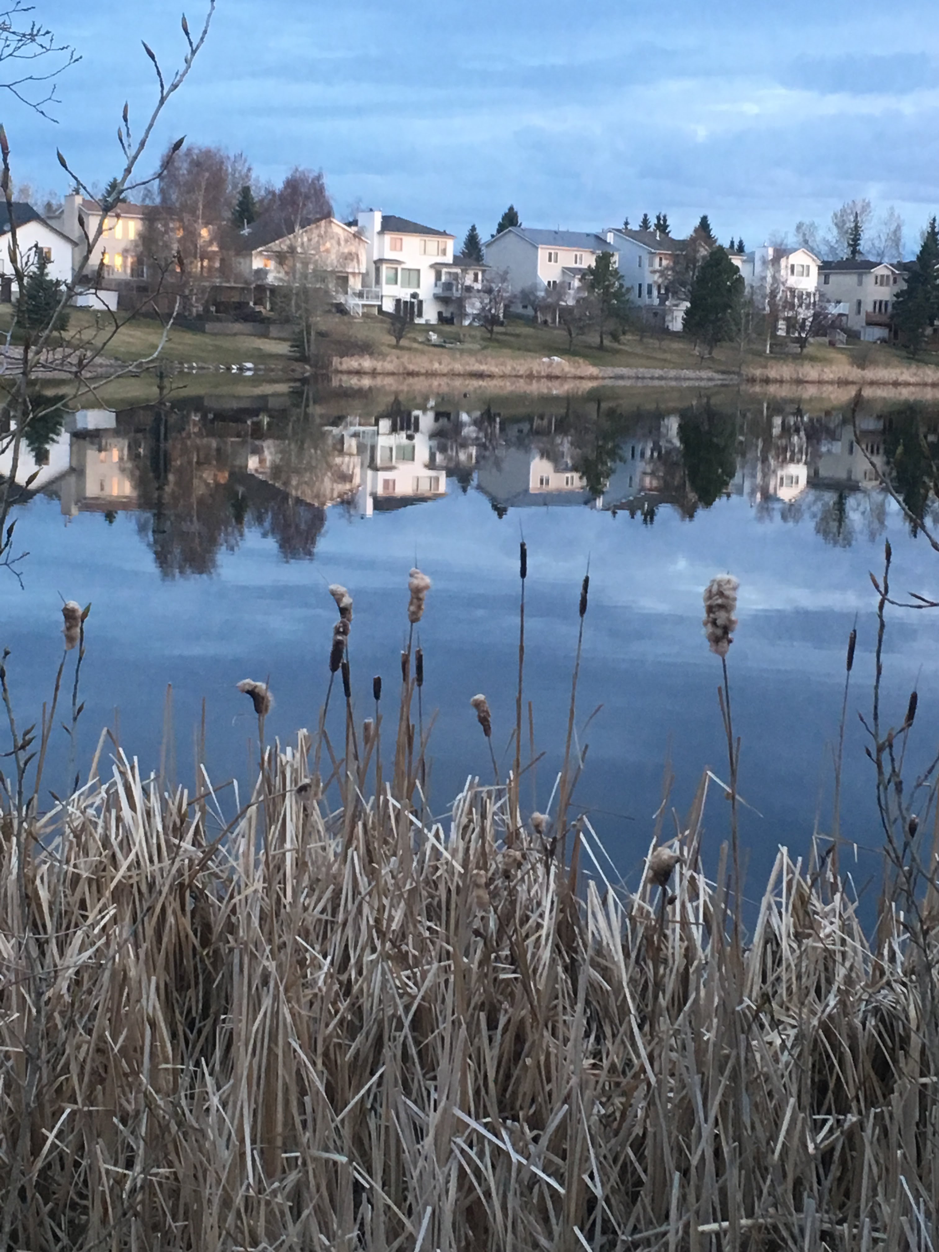 Fountain Lake - Edmonton, Alberta