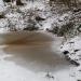 Sieben Teiche (de) в городе Кассель