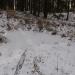 Sieben Teiche (de) в городе Кассель