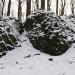Hirzstein (502 m) (de) в городе Кассель
