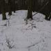 Hirzstein (502 m) (de) в городе Кассель