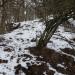 Hirzstein (502 m) (de) в городе Кассель