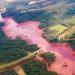 Área de Desastre do Rompimento de Barragem em Brumadinho