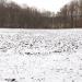 Wiese unter der Teufelsmauer (de) в городе Кассель