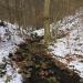 Firnsbachtal (de) в городе Кассель