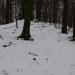 Ziegenkopf (565 m) (de) в городе Кассель