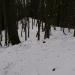 Ziegenkopf (565 m) (de) в городе Кассель