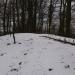 Ziegenkopf (565 m) (de) в городе Кассель