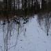 Steinskulpturen (de) в городе Кассель