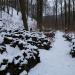 Steinskulpturen (de) в городе Кассель