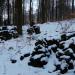 Steinskulpturen (de) в городе Кассель