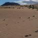 Dune Beach Corralejo