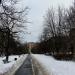 Бульвар в городе Москва