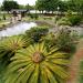 Parque da Cidade na Jundiaí city
