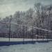 Хоккейная коробка в городе Москва