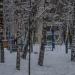 Спортивная площадка в городе Москва