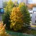 Детский сад № 80 «Капельки» в городе Нижнекамск