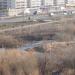 Заболоченная часть озера в городе Казань
