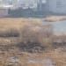 Заболоченная часть озера в городе Казань