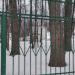 Зелёный театр в городе Москва