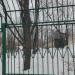 Зелёный театр в городе Москва