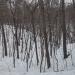 Андреевские заразы в городе Москва