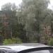 Пригородная ул., 4 в городе Остров