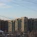 Арсенальная ул., 4 в городе Новое Девяткино