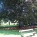 Citadelpark in Ghent city