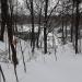 Овраг в городе Москва