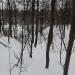 Овраг в городе Москва