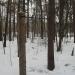 Спортивная площадка в городе Москва