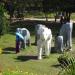 Elephant Statues Park in Yangon city