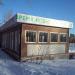 Кафе «ЭкоДом с Котом» в городе Москва