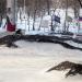 Памп-трек «Строгино» в городе Москва