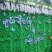 Flower Garden in Pyin Oo Lwin ( MayMyo ) Hill Top Town city