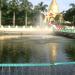 Turtles' Pond (late Kan) in Yangon city