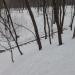 Лестница в городе Москва