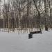 Площадки для воркаута «Кенгуру.про» и Reebok CrossFit в городе Москва