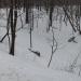 Развалины в городе Москва