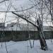 Развалины теплицы в городе Москва