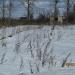 Поле со сваями в городе Кимры