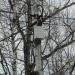 Камера скоростного контроля в городе Кимры