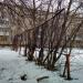 Бывшее футбольное поле в городе Тверь