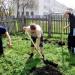Территория детского дома в городе Шушенское