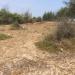 LOT 1571 BEACH RESORT LAND  3.2744 ACRES