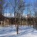 Фруктовый сад в городе Рошаль