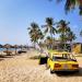 Golden Sand Bar