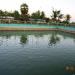 Sri Kali Amman Temple Tank in Mawlamyine city